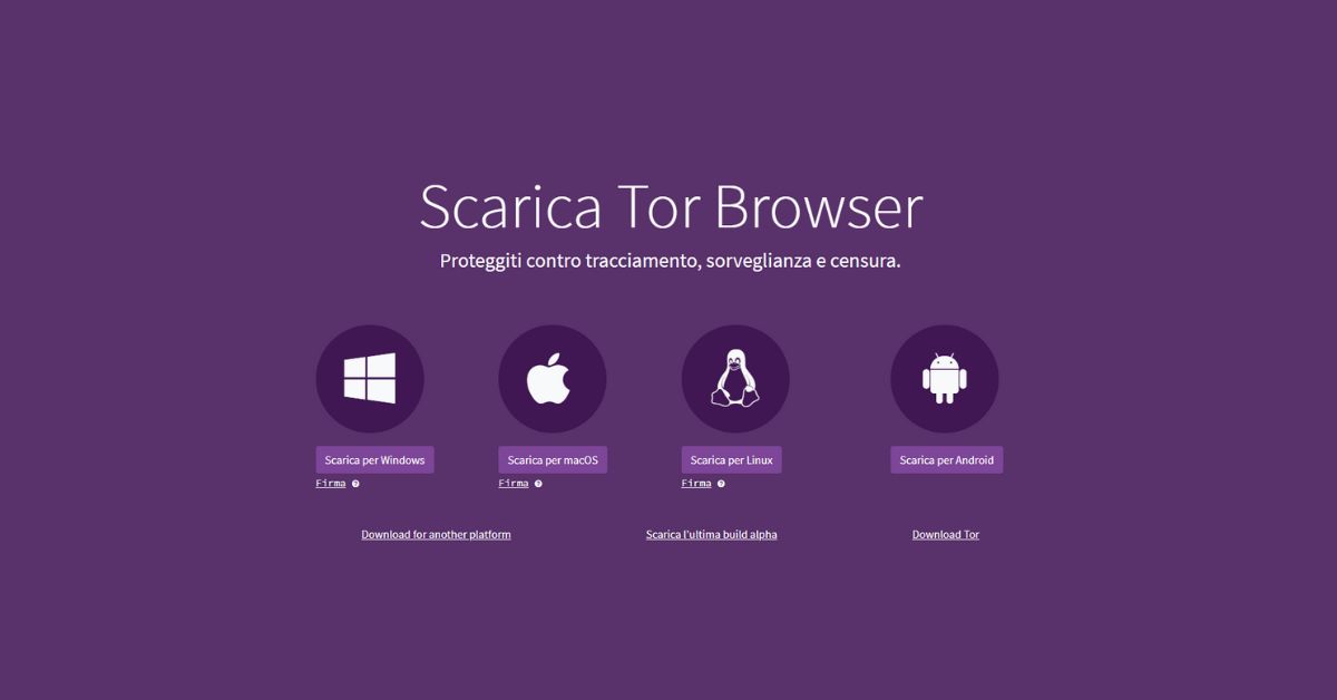 Scopri di più sull'articolo Tor: come installarlo e le principali funzionalità