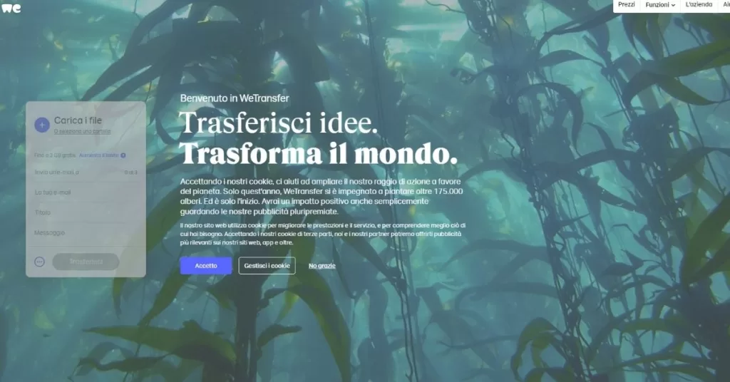 WeTransfer